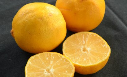 recette d’île flottante avec des citrons doux d'Iran